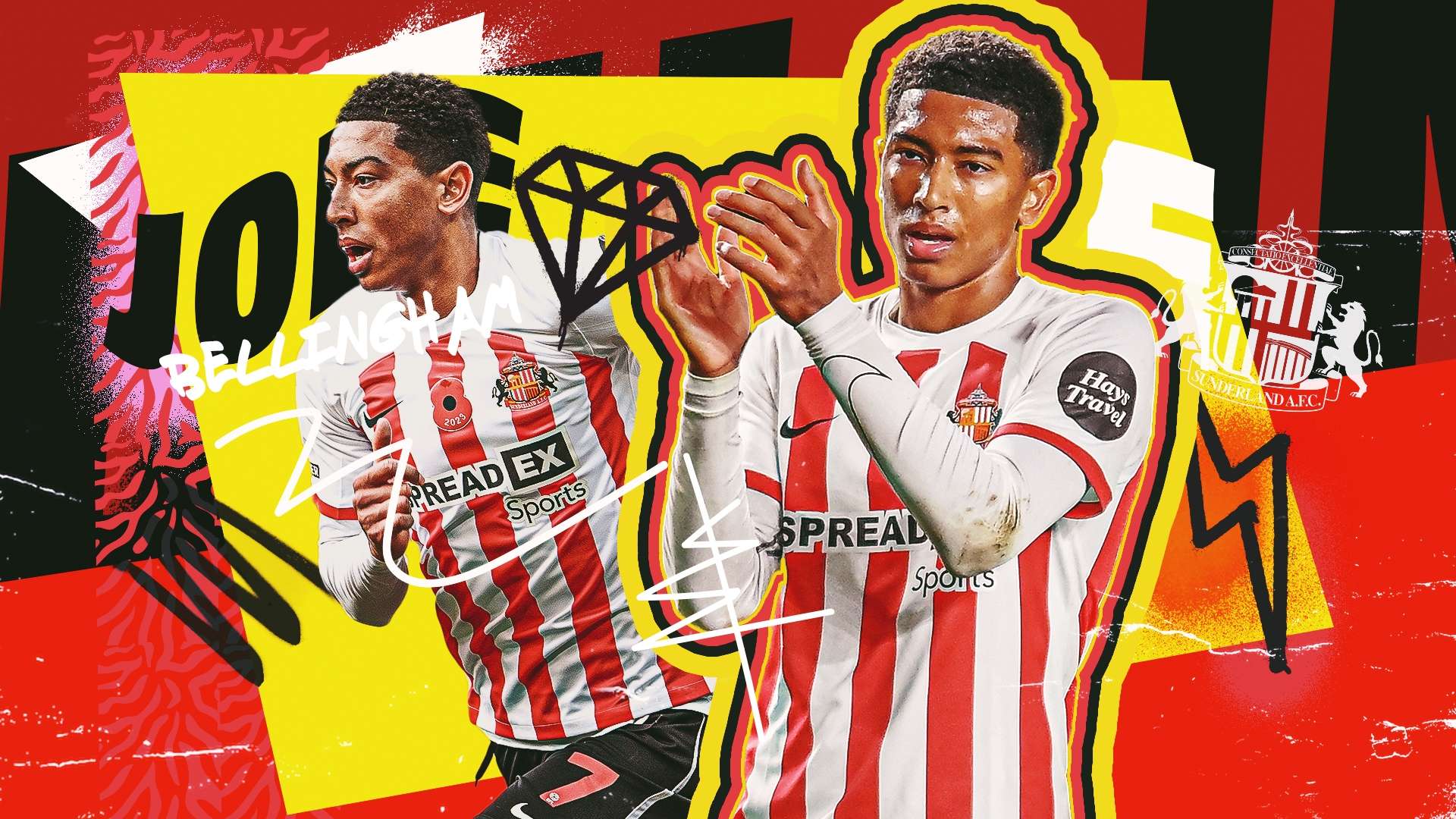 一个典型的 一个典型的