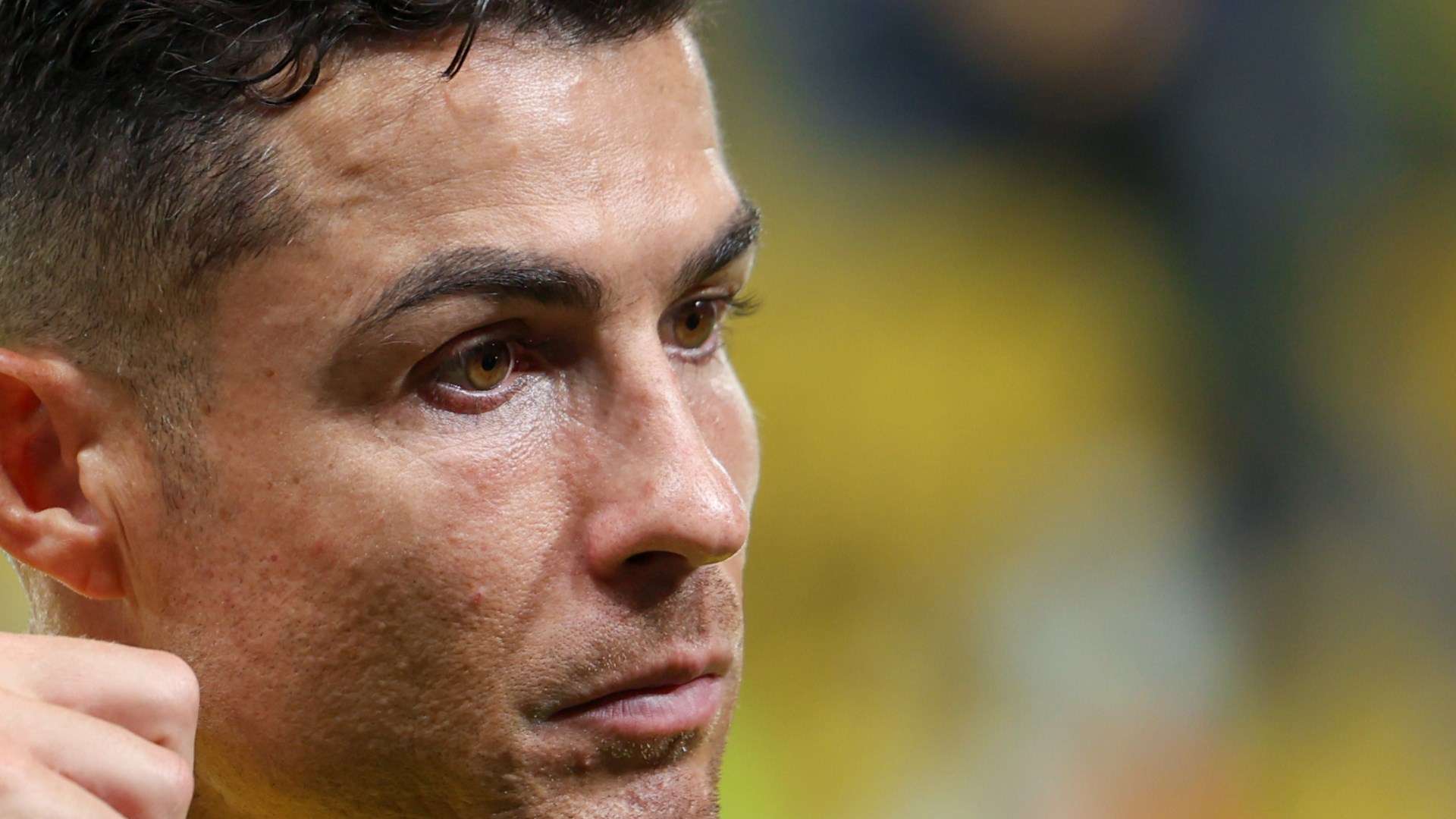 淡厚然的成 淡厚然的成