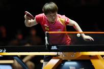 难以忘怀 难以忘怀