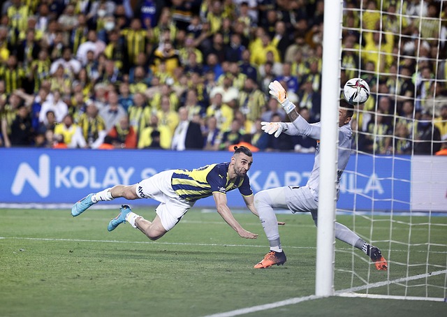 中国男篮球 中国男篮球