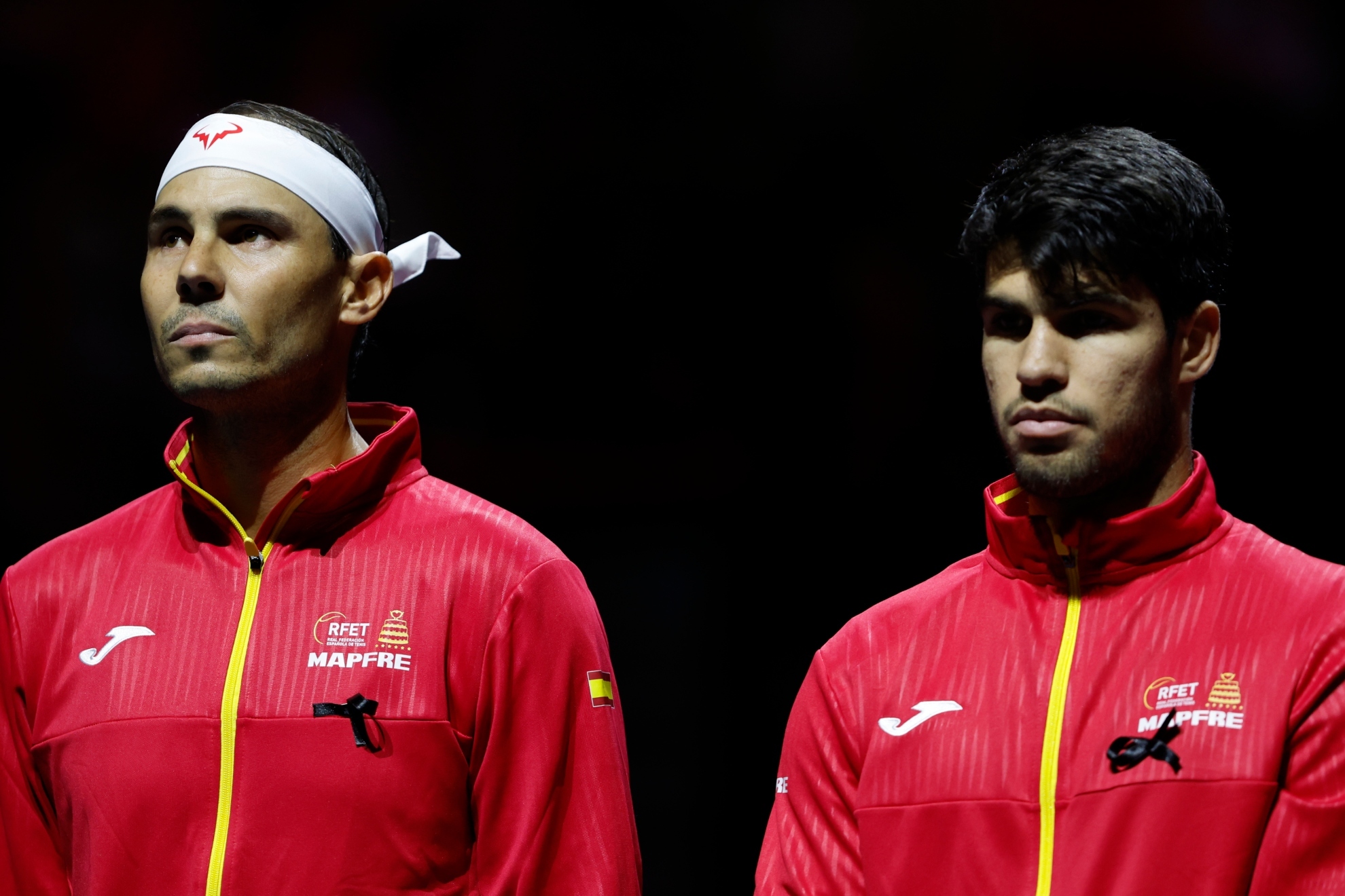 希君生羽翼 希君生羽翼