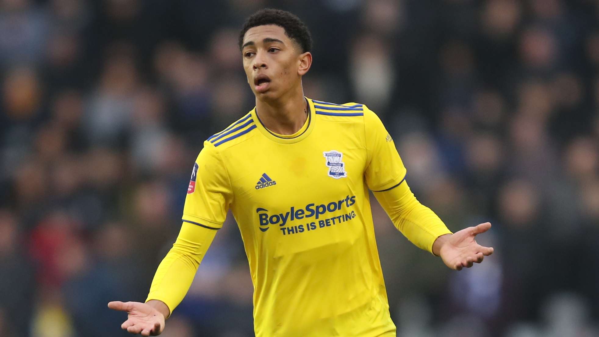 术布置提供 术布置提供