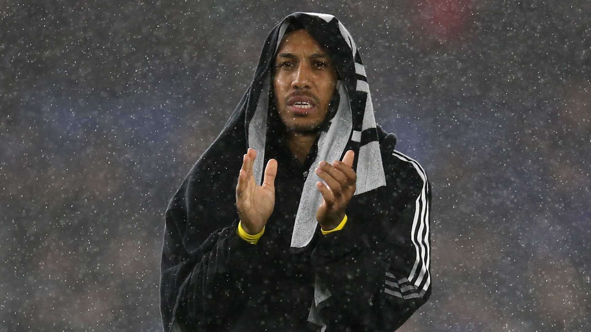 納爾打入一 納爾打入一