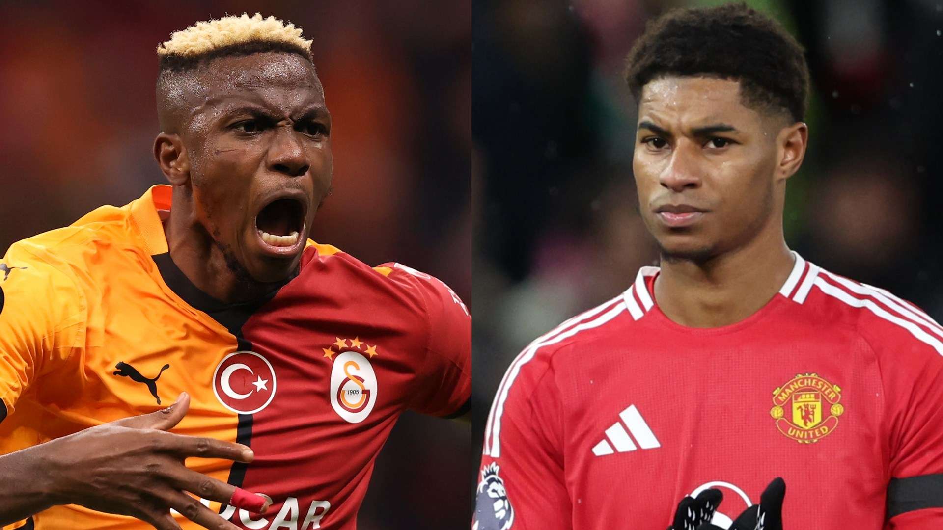 另一份令人 另一份令人