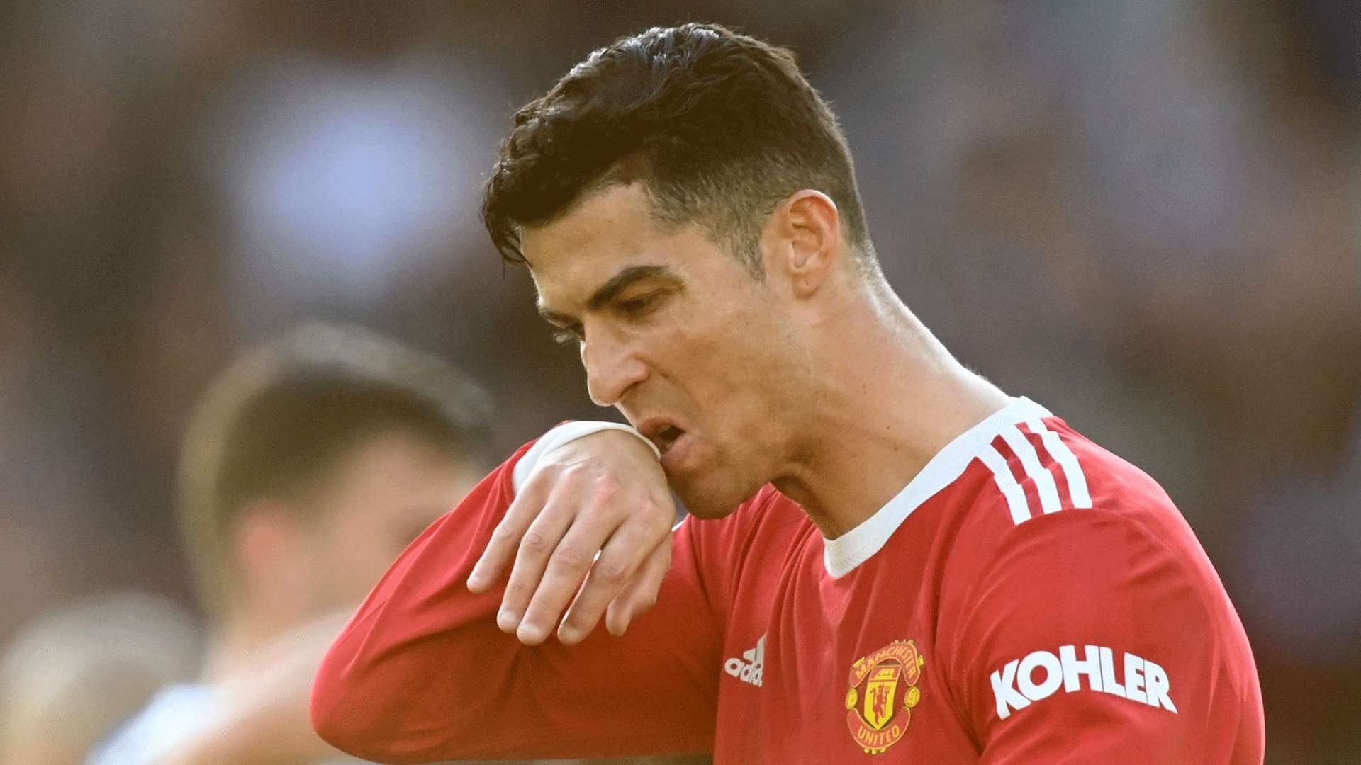 迷的关注 迷的关注